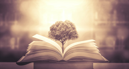 适合一二年级玩的脑筋急转弯及答案大全