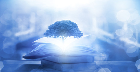 幼儿童话睡前故事