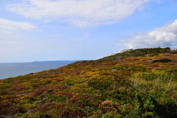 今天分享一些生活小常识英语