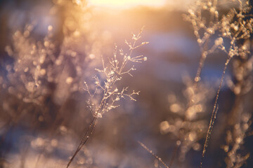 你适合浓妆还是淡妆 选对妆容才能站稳c位