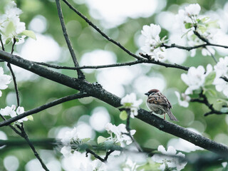 实测辅助”鱼乐达人开挂神器”原来真可以开挂