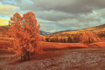 李焕英是贾玲的母亲吗？