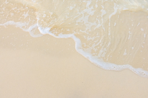 李焕英是贾玲的母亲吗？