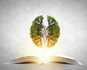 实测辅助”鱼乐达人开挂神器”原来真可以开挂