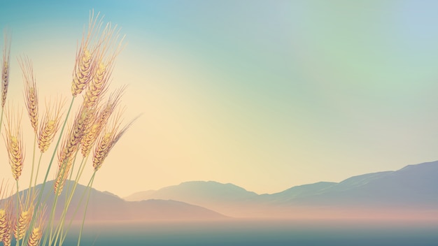 二建高温施工的判定