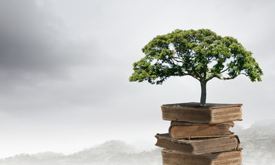 你适合浓妆还是淡妆 选对妆容才能站稳c位