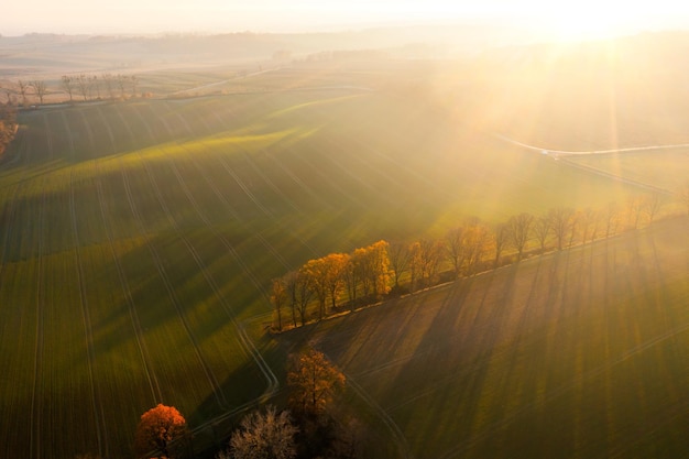 适合一二年级玩的脑筋急转弯及答案大全